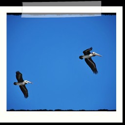 paracas_281