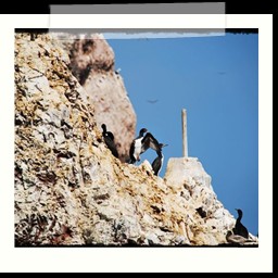 paracas_282
