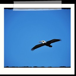 paracas_285