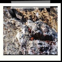 paracas_291