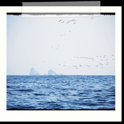 paracas_300