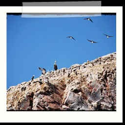 paracas_303
