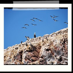 paracas_304