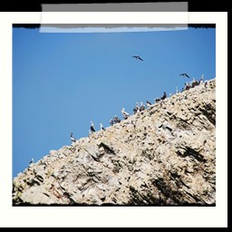 paracas_308