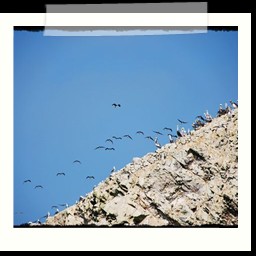 paracas_309