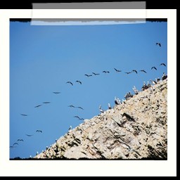 paracas_310