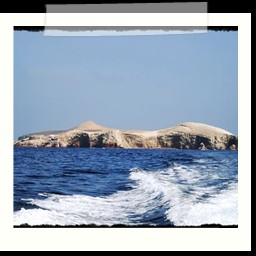 paracas_318