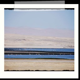 paracas_340