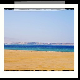 paracas_343