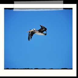 paracas_348