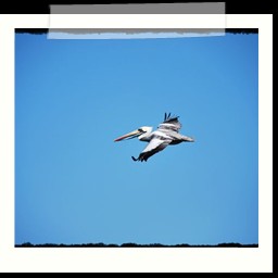 paracas_351