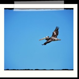 paracas_352
