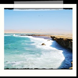 paracas_353
