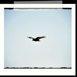 paracas_355