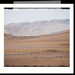 paracas_361