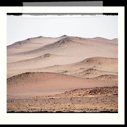 paracas_369