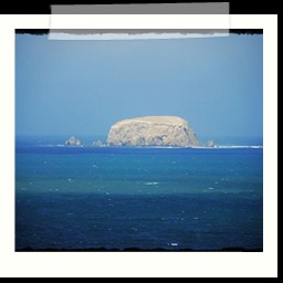 paracas_386