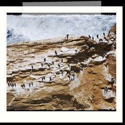paracas_388
