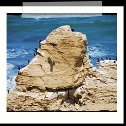 paracas_389