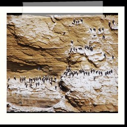 paracas_390