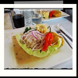 paracas_412