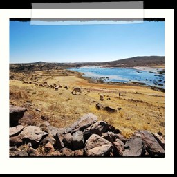 puno_chivay_029