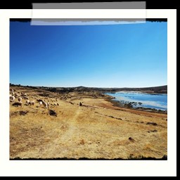 puno_chivay_033