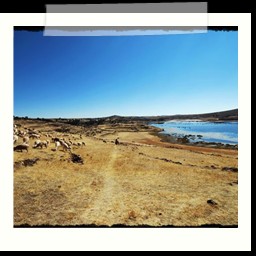 puno_chivay_034