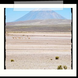 puno_chivay_161