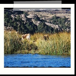 titicaca_lake_007