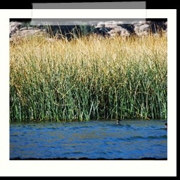 titicaca_lake_009