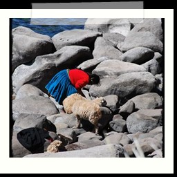 titicaca_lake_016