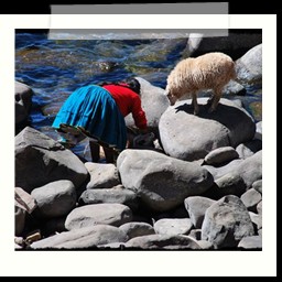 titicaca_lake_018