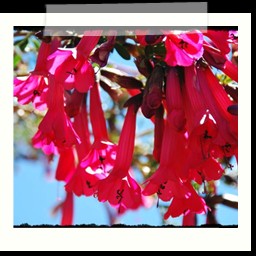 titicaca_lake_069