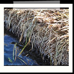 titicaca_lake_153