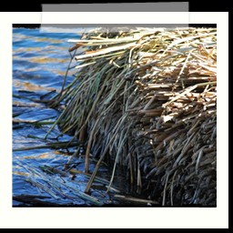 titicaca_lake_154