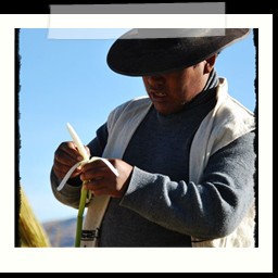 titicaca_lake_217