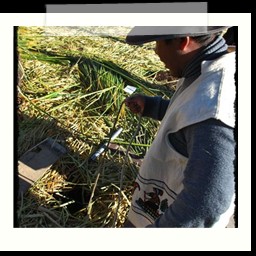 titicaca_lake_225