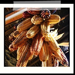 valle_sacra_069