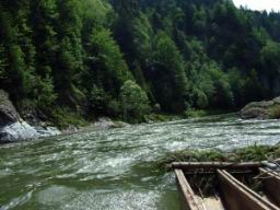 pieninski_national_park_186.JPG