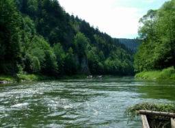 pieninski_national_park_187.JPG