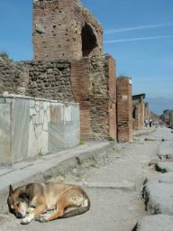 pompeje, pies, l'attraversamento ai pedoni pompei
