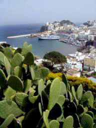 Ponza port from above