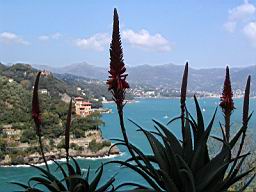 portofino_101.jpg