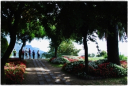 ravello_DSC_8244.JPG