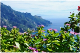 ravello_DSC_8301.JPG