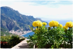 ravello_DSC_8306.JPG