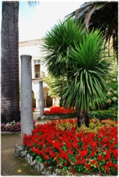 ravello_DSC_8312.JPG