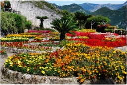 ravello_DSC_8330.JPG