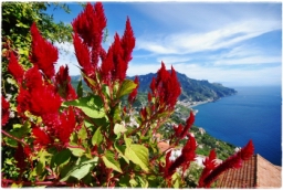 ravello_DSC_8353.JPG